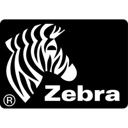 48766-001 - Zebra ZBI 2.0 Enablement Kit (1 Stampante)